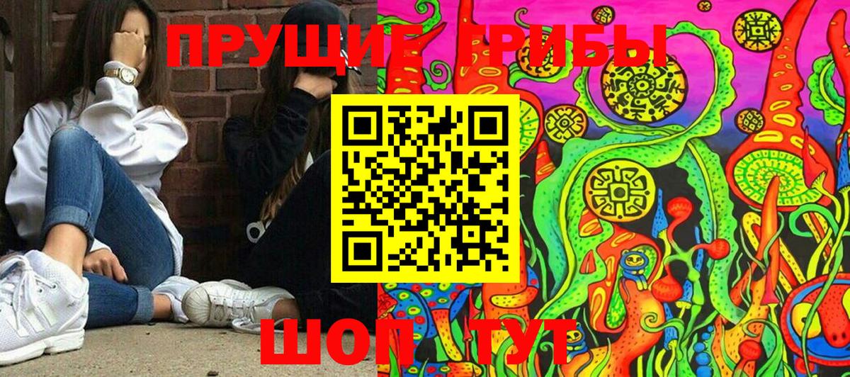 Старая Купавна  Галлюциногенные грибы Psilocybe  Галлюциногенные грибы Cubensis  Вход с VPN 